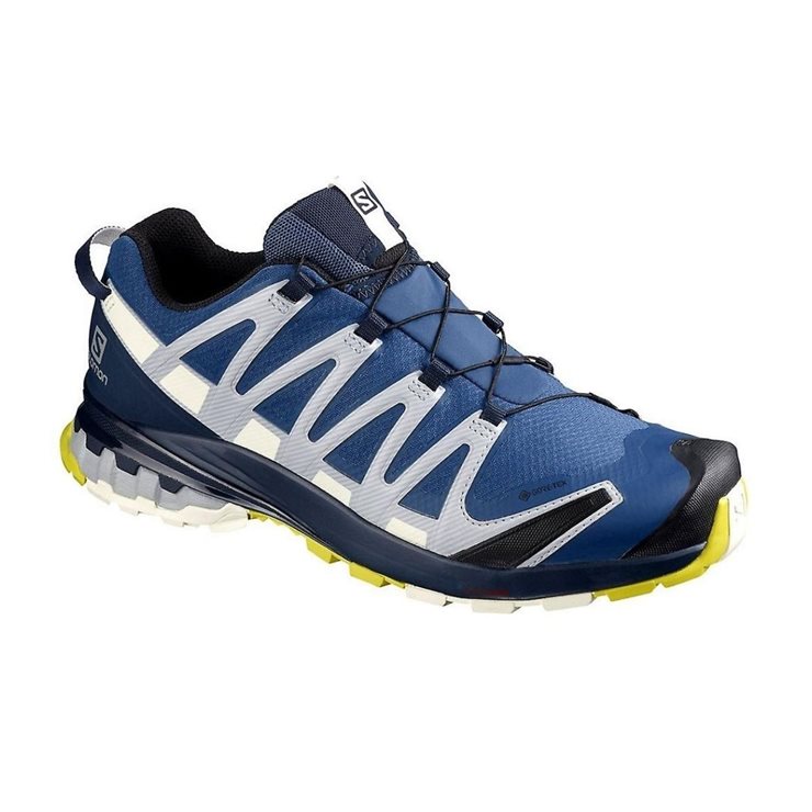 Παπούτσια ΧΑ Pro 3D GTX SALOMON Παπούτσια Πεζοπορίας | Hiking